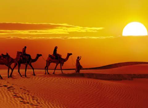 Best Desert Camp in Jaisalmer