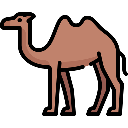 Desert Safari Camp in Jaisalmer